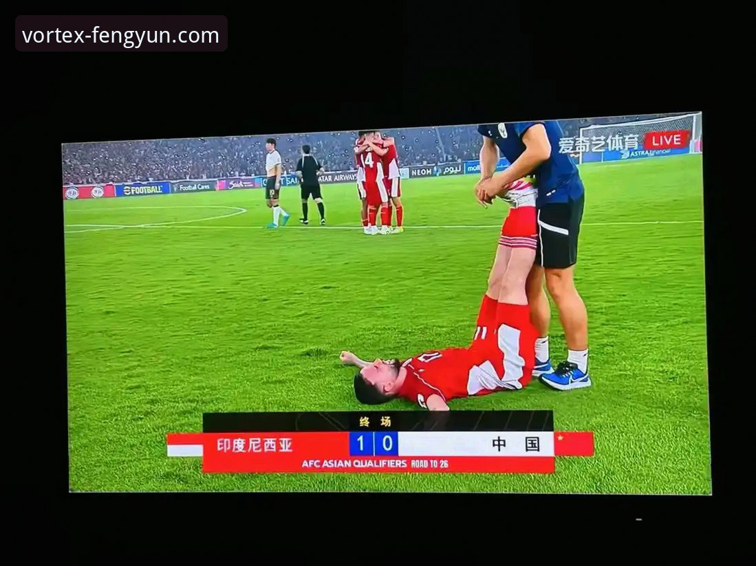 世界杯附加赛绝杀解析：从民主刚果晋级看风云体育足球直播操作指南